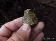 lokality-morava-pokojovice-125-korund