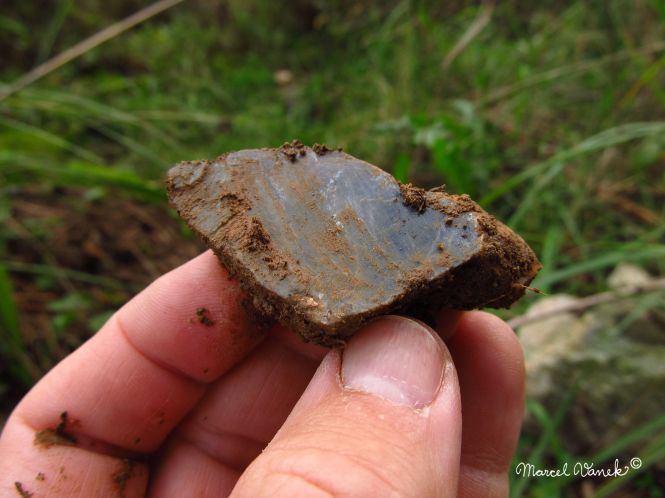 lokality-morava-pokojovice-132-korund