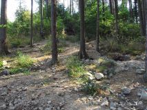 lokality-morava-pokojovice-153-korund