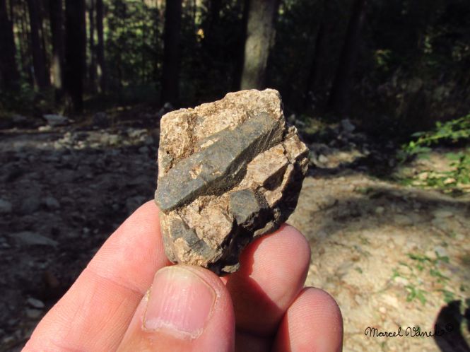 lokality-morava-pokojovice-157-korund