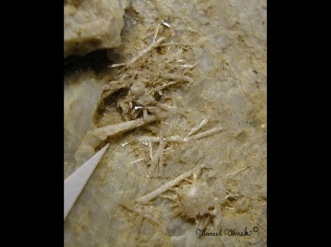 lokality-morava-vezna-04