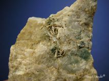 lokality-morava-vezna-06