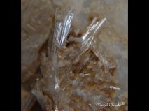 lokality-morava-vezna-07