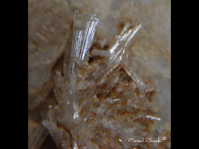 lokality-morava-vezna-07