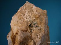 lokality-morava-vezna-08