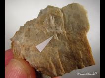 lokality-morava-vezna-09