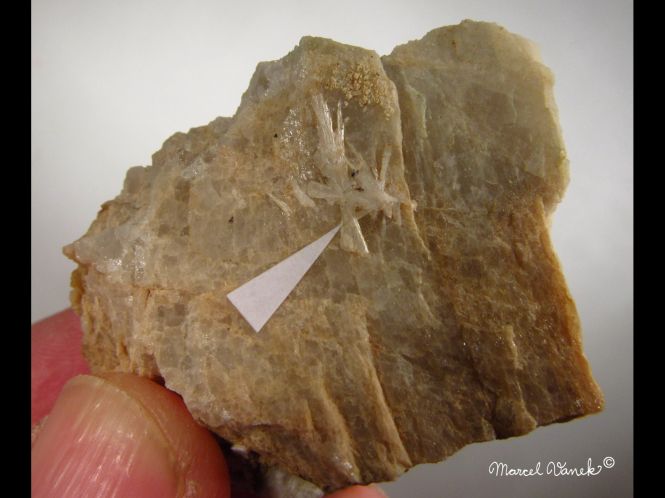 lokality-morava-vezna-09