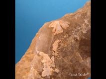 lokality-morava-vezna-11