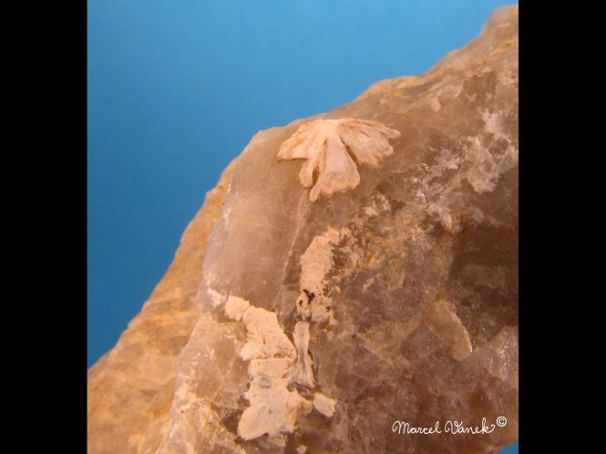 lokality-morava-vezna-11