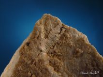 lokality-morava-vezna-12