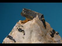 lokality-morava-vezna-14