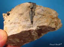 lokality-morava-vezna-15