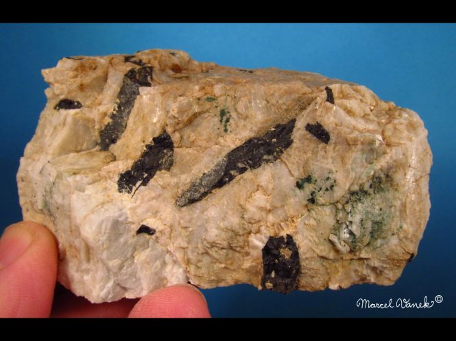 lokality-morava-vezna-16