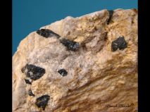 lokality-morava-vezna-17