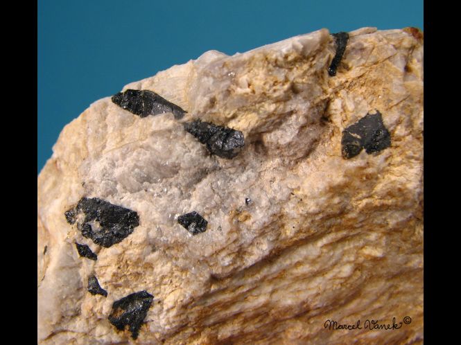 lokality-morava-vezna-17