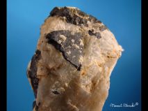 lokality-morava-vezna-19