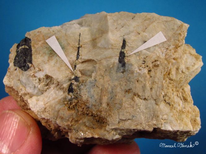 lokality-morava-vezna-20