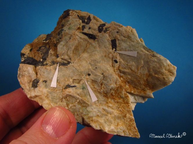 lokality-morava-vezna-21