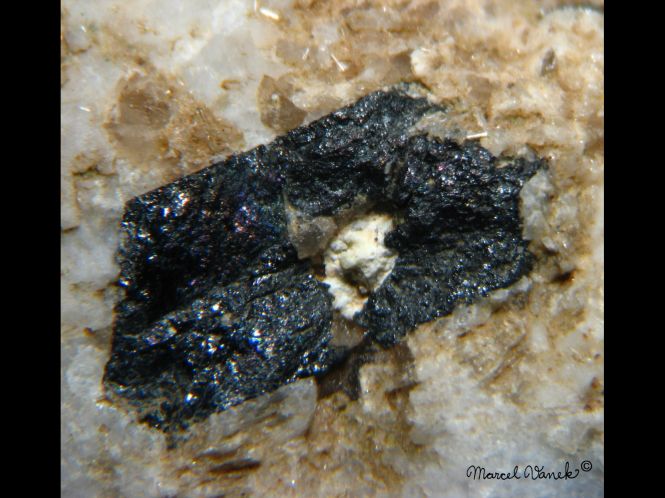 lokality-morava-vezna-22