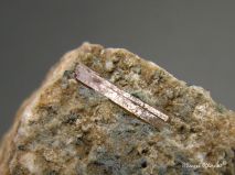 lokality-morava-vezna-24