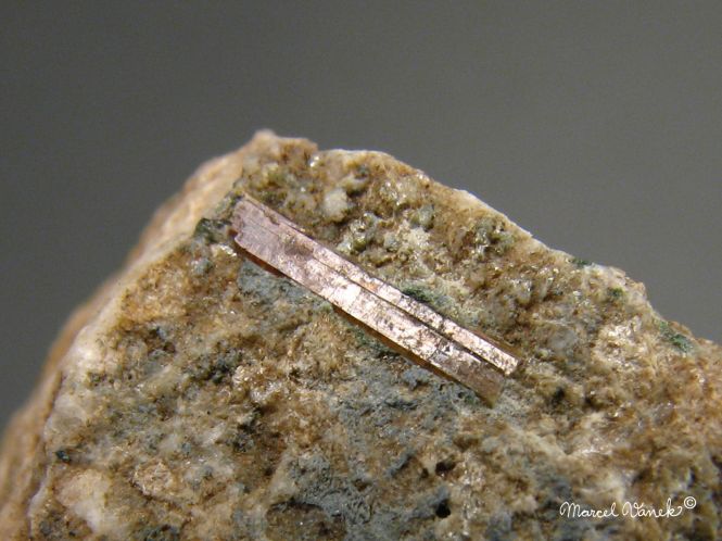 lokality-morava-vezna-24