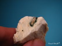 lokality-morava-vezna-25