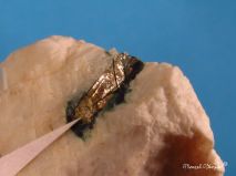 lokality-morava-vezna-26