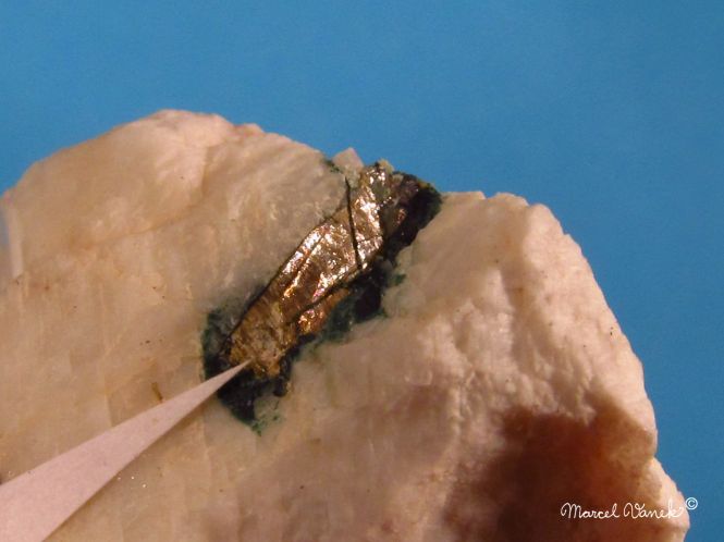 lokality-morava-vezna-26