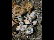 lokality-slovensko-lubietova-podlipa-09