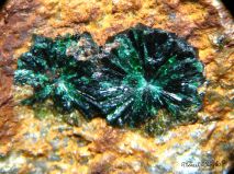 lokality-slovensko-lubietova-podlipa-29