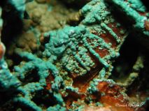 lokality-slovensko-lubietova-podlipa-32