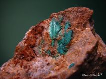 lokality-slovensko-lubietova-reiner-19