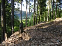 lokality-slovensko-novovestska-huta-09