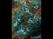 lokality-slovensko-novovestska-huta-18