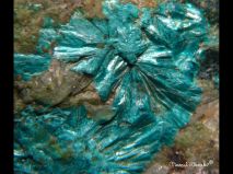 lokality-slovensko-novovestska-huta-21