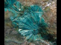 lokality-slovensko-novovestska-huta-22