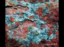 lokality-slovensko-novovestska-huta-24