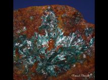 lokality-slovensko-novovestska-huta-25