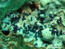 lokality-slovensko-novovestska-huta-34