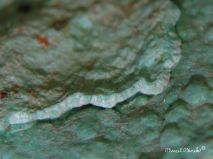 lokality-slovensko-novovestska-huta-41