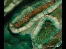 lokality-slovensko-novovestska-huta-42