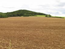 2019-08-13-olesna-02