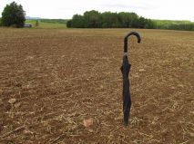 2019-08-13-olesna-08