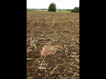 2019-08-13-olesna-09