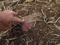 2019-08-13-olesna-10