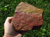 2019-08-13-olesna-13