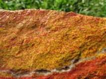 2019-08-13-olesna-15