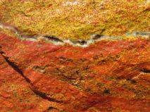 2019-08-13-olesna-16