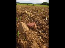 2019-08-13-olesna-17