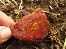 2019-08-13-olesna-18